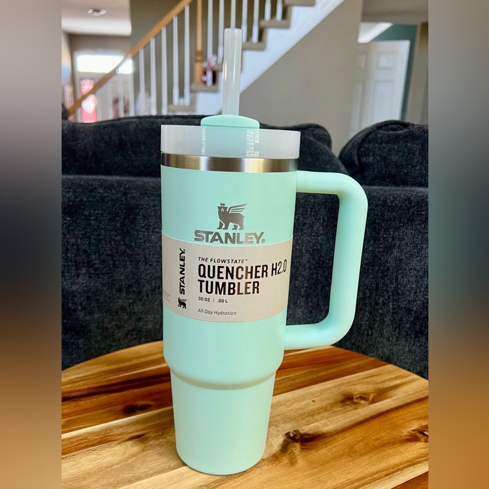 Stanley 30 oz. Tumbler, Mint, Brand New